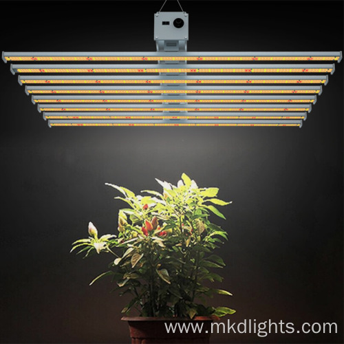 Best Cheap Grow Lights For House Plants